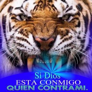 Meet your Posher, Guillermo